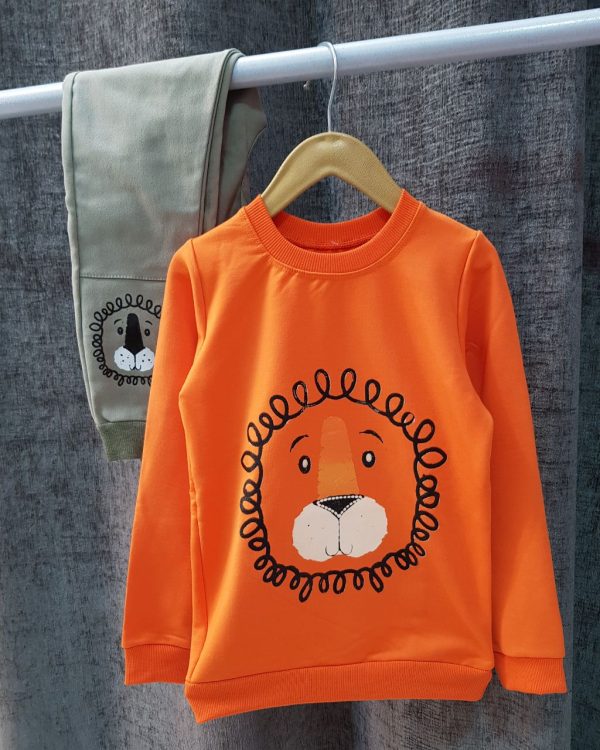 ست شیر - Image 3