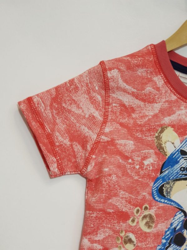 خرس فوتبالی