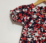 دو تکه شکوفه بهاری