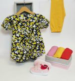 دو تکه شکوفه بهاری