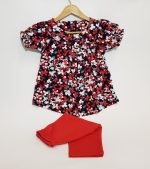 دو تکه شکوفه بهاری