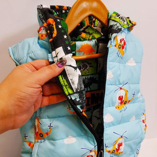 پافر دو رو دایناسور - Image 4