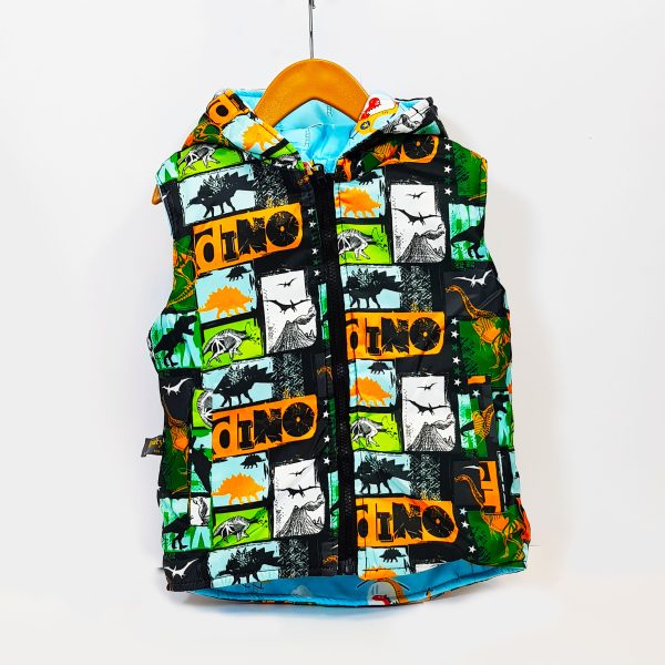 پافر دو رو دایناسور - Image 5