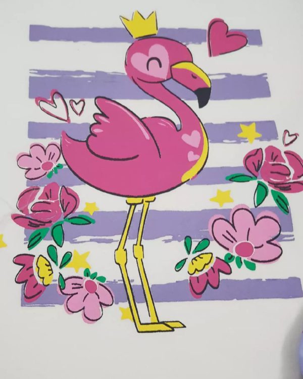 فلامینگو - Image 4