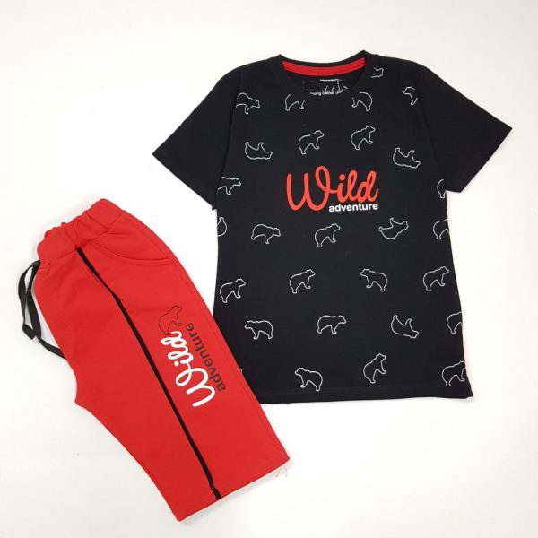 ست پسرانه wild - Image 6