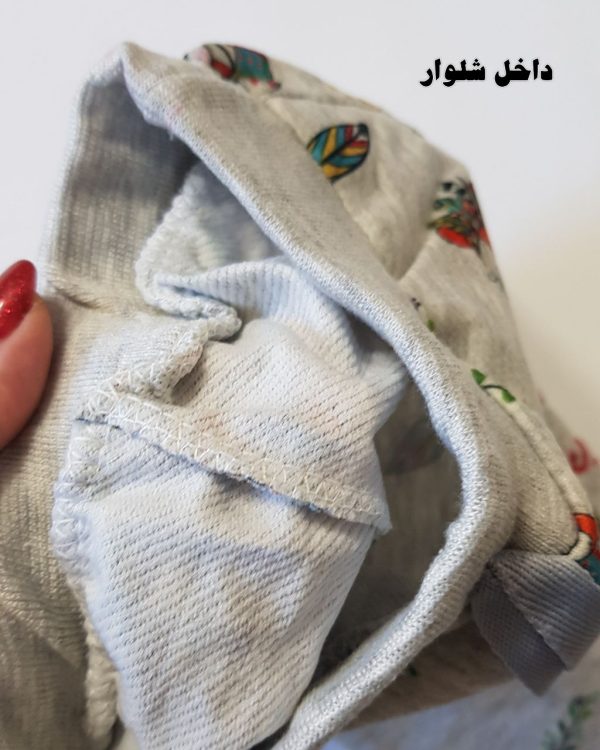 ست روباه سرخپوست - Image 6