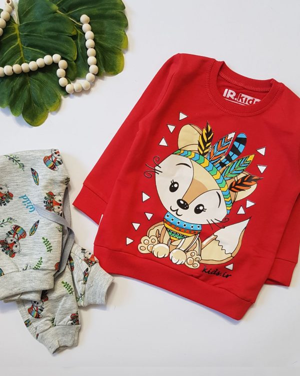 ست روباه سرخپوست - Image 2