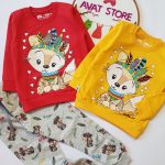 ست روباه سرخپوست