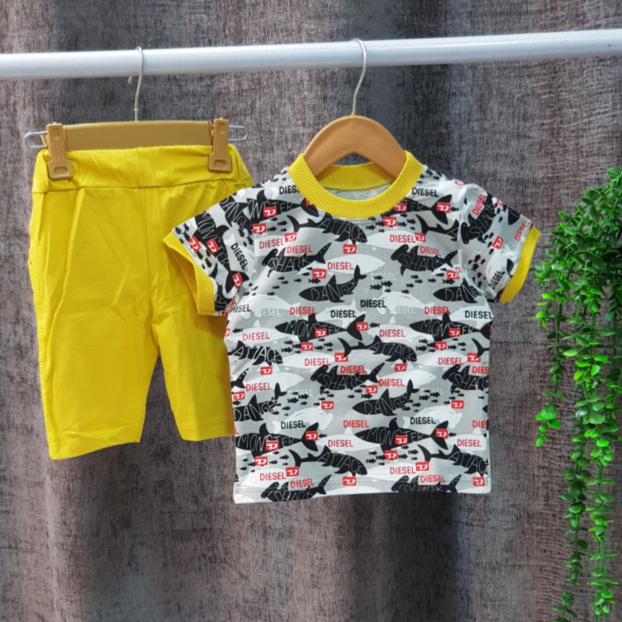 IMG_20240822_191147_925 ست شارک - Image 1