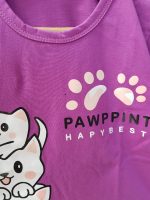 ست پیشی - Image 2