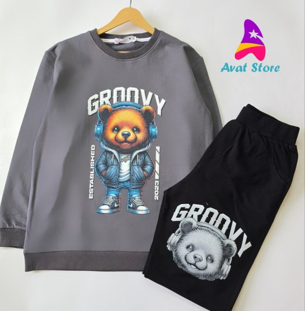 ست بلوز شلوار پسرانه تدی - Image 2