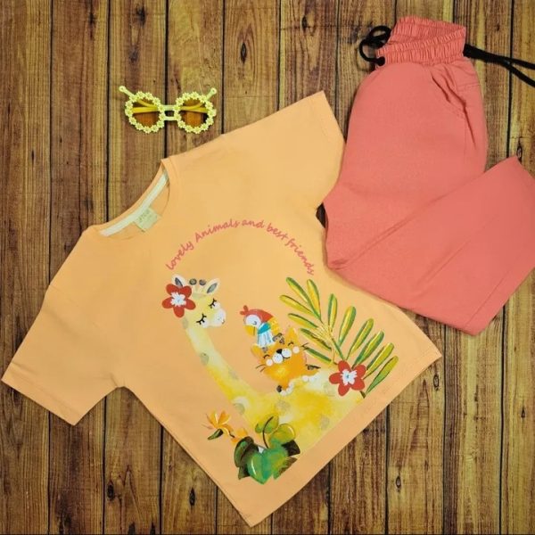 ست تی‌شرت شلوار دخترانه تابستانی زرافه - Image 5