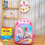 کوله پشتی مدرسه السا و آنا