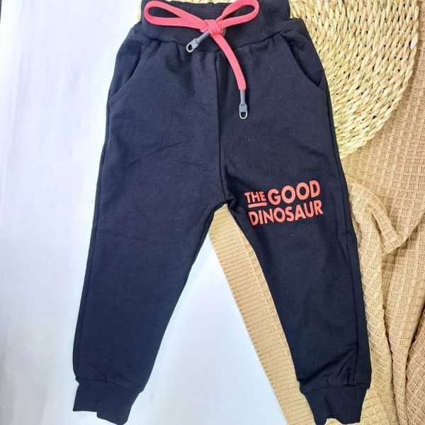 ست پسرانه دایناسور و پسر - Image 3